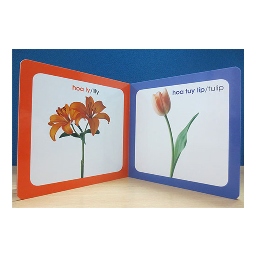 Từ điển hình ảnh cho bé ( trọn bộ 10 cuốn)