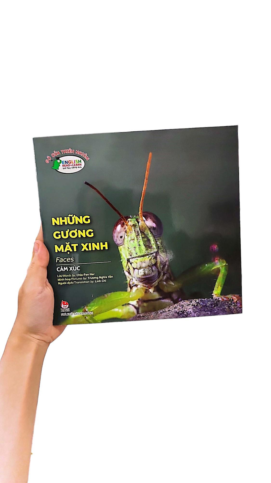 Gõ Cửa Thiên Nhiên Những Gương Mặt Xinh/Cảm Xúc_Faces