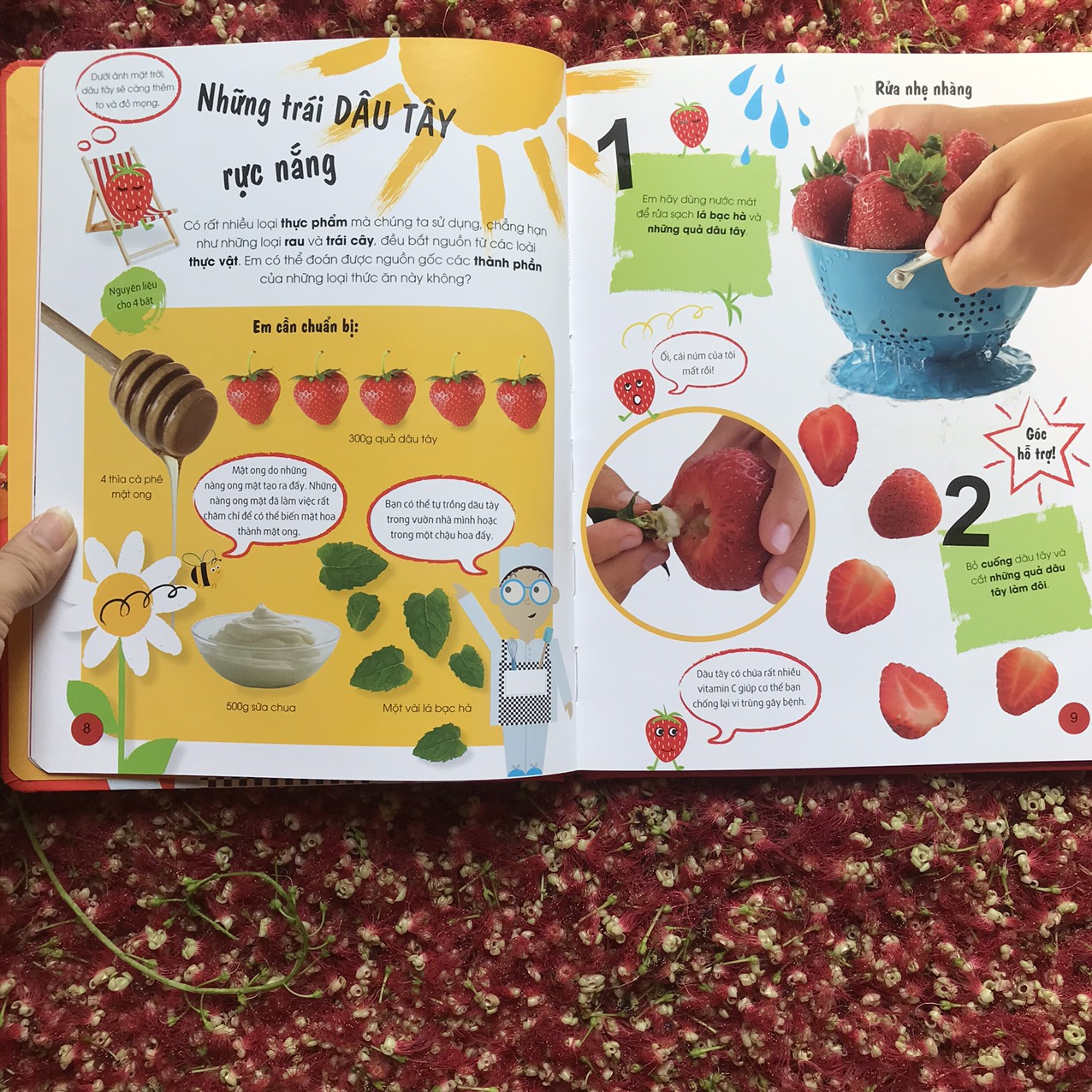 Look! - Tớ Là Đầu Bếp
