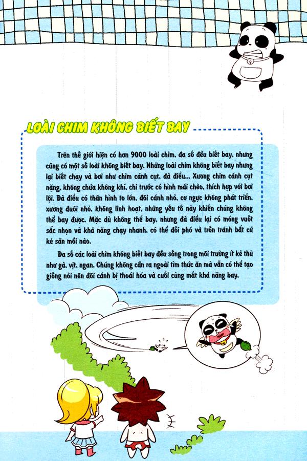 Wow! - Những Bí Mật Kỳ Diệu Dành Cho Học Sinh - Khám Phá Các Loài Chim (Tái Bản 2019)