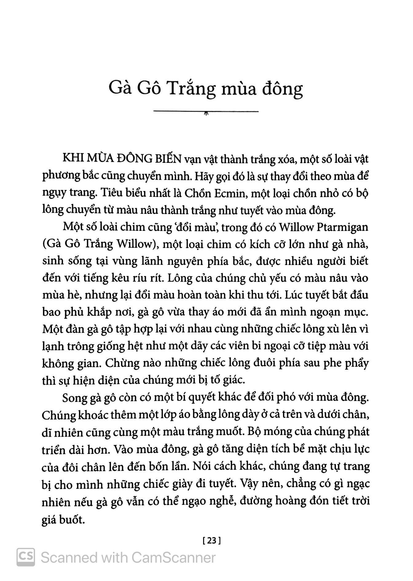 Chuyện Kể Về Trăm Loài Chim