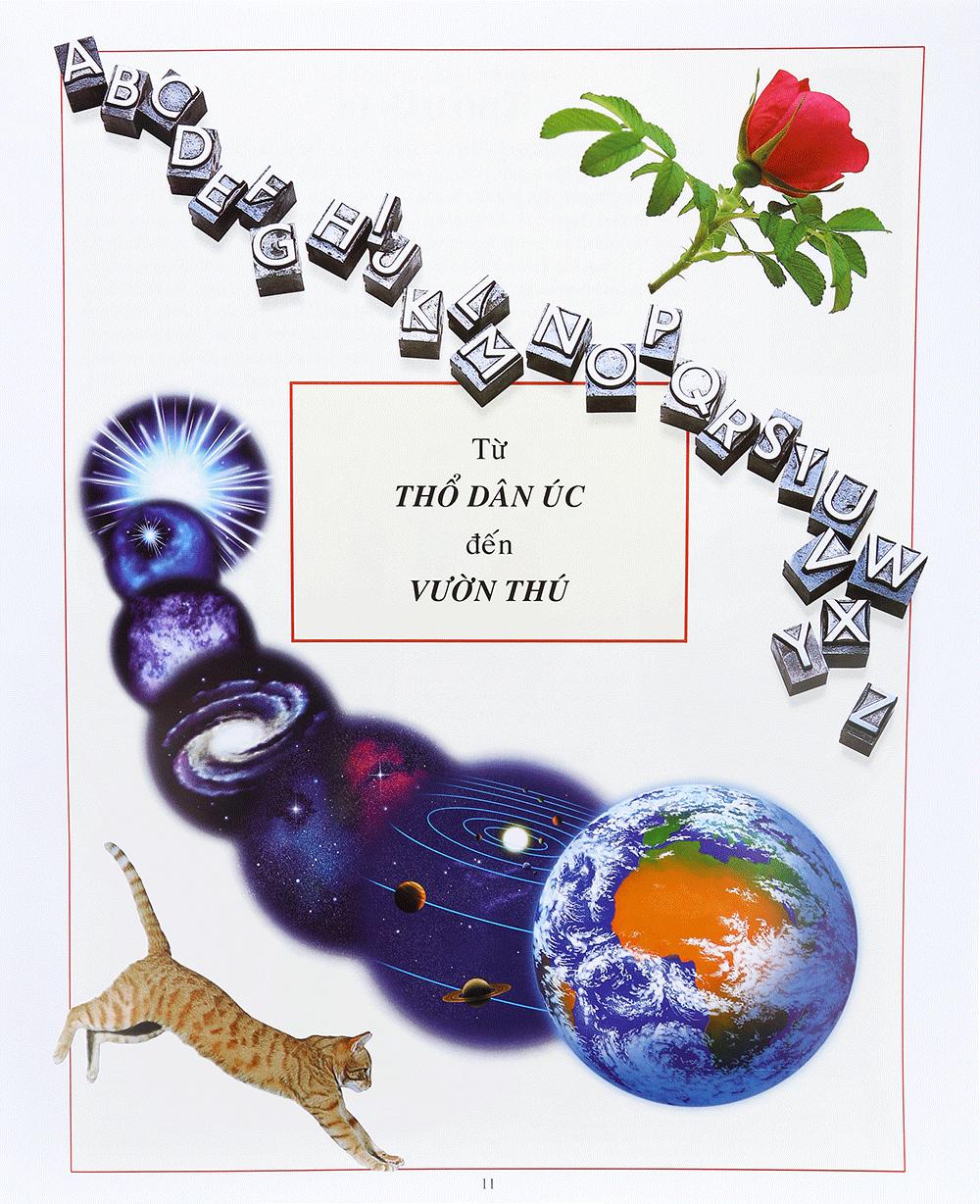Bách Khoa Tri Thức Bằng Hình (Tái Bản 2015)