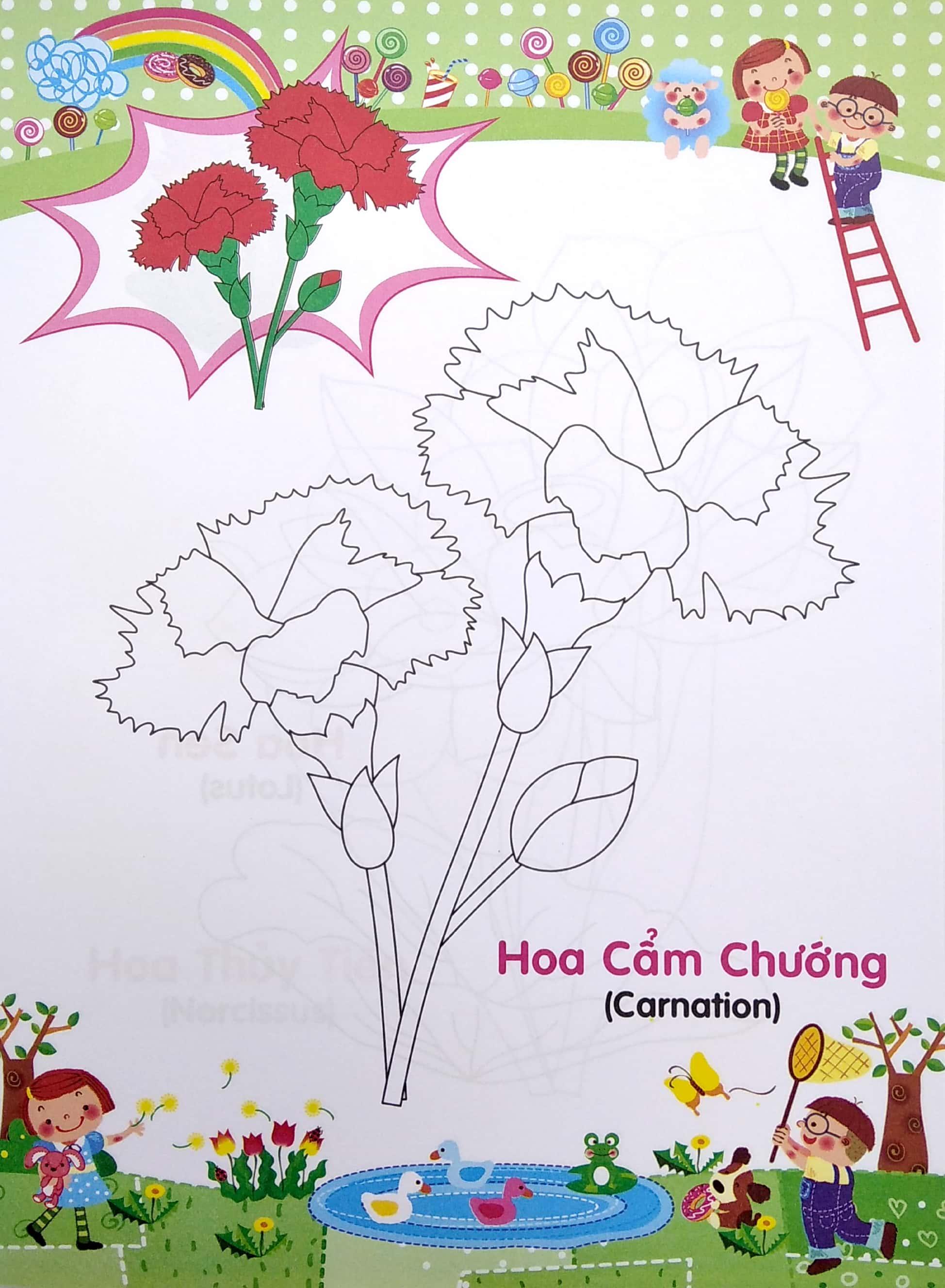 Bé Tập Tô Màu Và Học Tiếng Anh Theo Chủ Đề - Các Loài Hoa