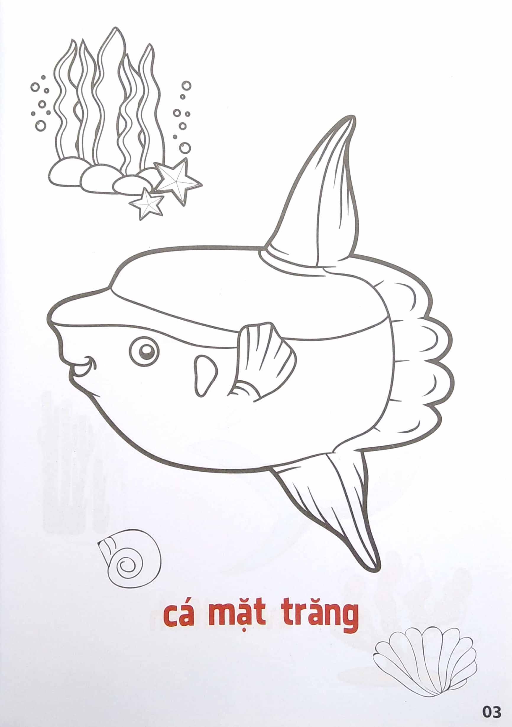 Tô Màu Động Vật Sống Dưới Nước - Song Ngữ Anh-Việt - Tập 2 (Tái Bản 2023)