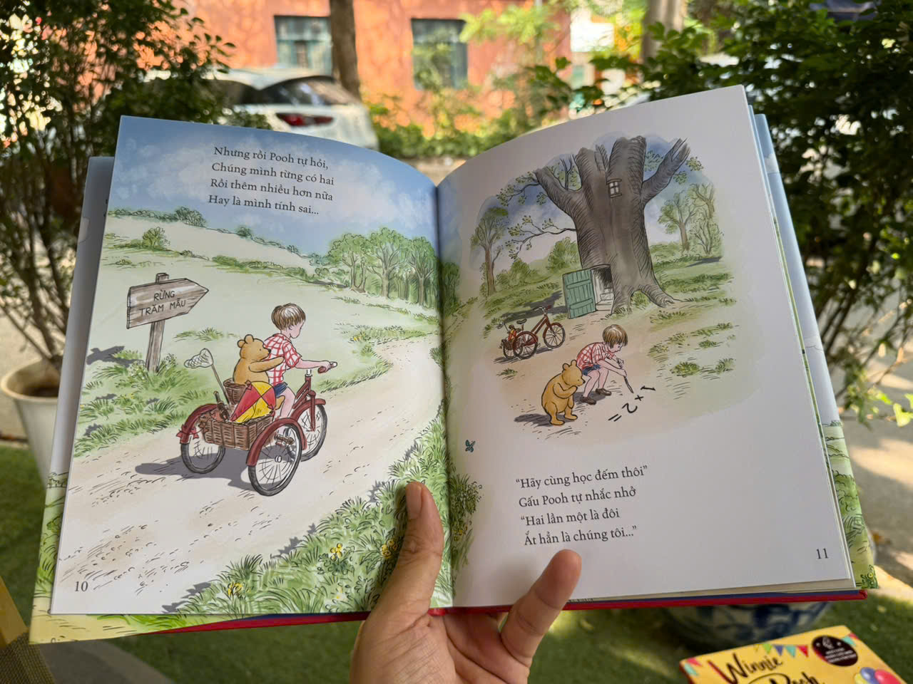 (Bìa cứng) GẤU POOH VÀ TÔI – Jeanne Willis – Nhân Dân Books - NXB Văn Học