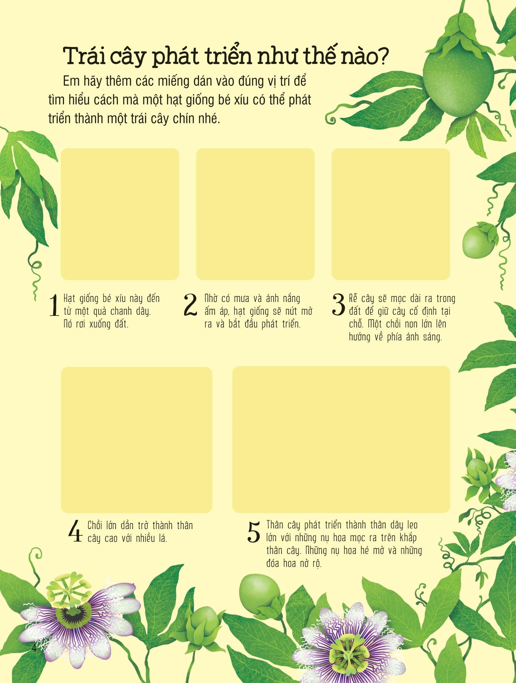 First Sticker Book - Sách Dán Hình Đầu Đời Cho Bé - Trái Cây Và Rau Củ
