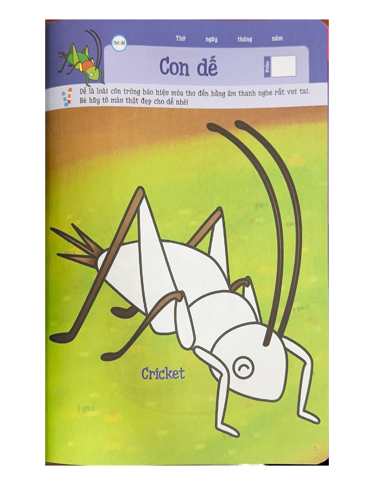 Tô Màu Rèn Trí Thông Minh Tập 2 - Vanlangbooks