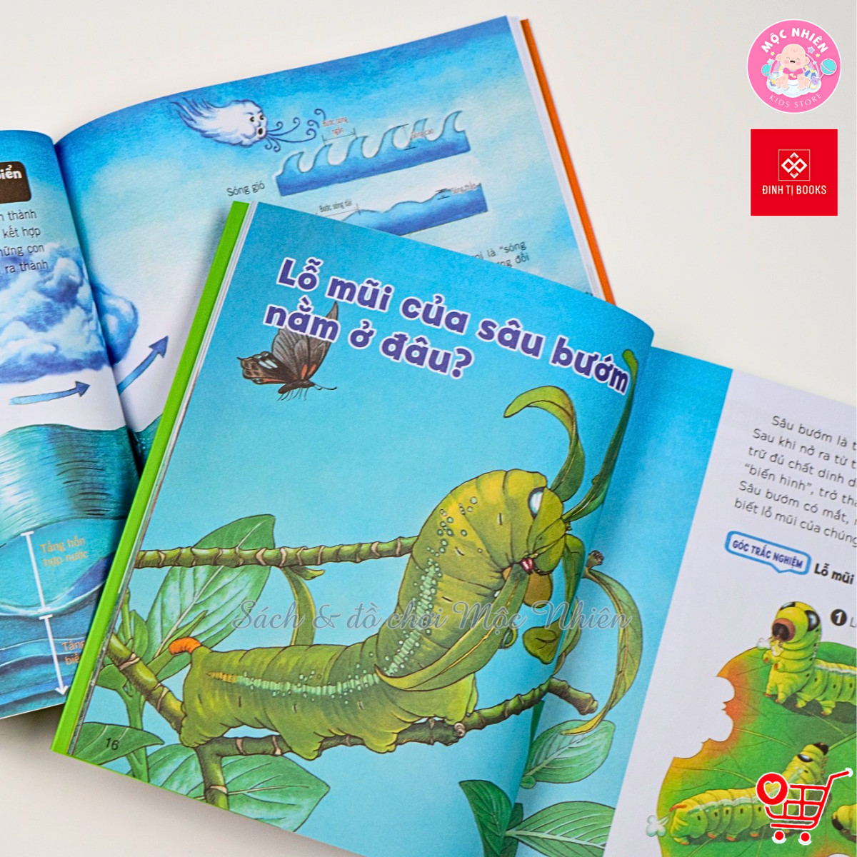 Sách - Wow, thì ra là thế! Dành cho bé từ 6-12 tuổi - Đinh Tị Books