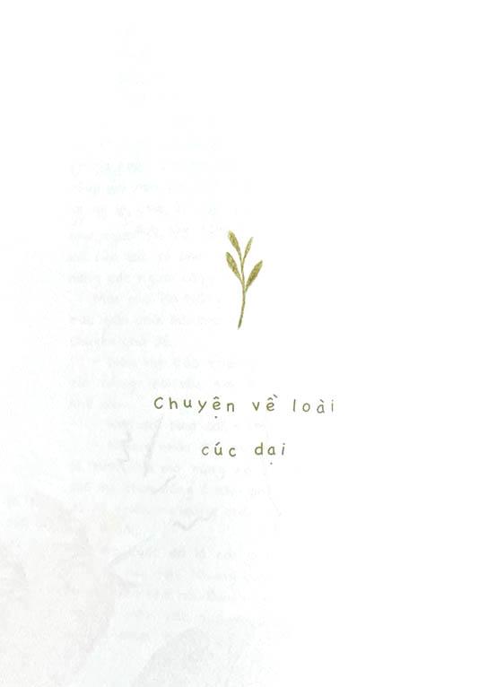Cúc Dại Và Tia Nắng