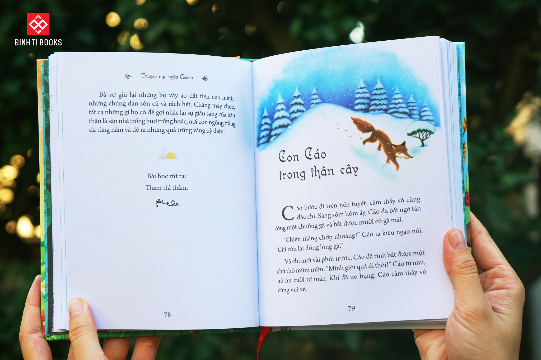 Truyện ngụ ngôn Aesop - Illustrated Classics - Đinh Tị Books