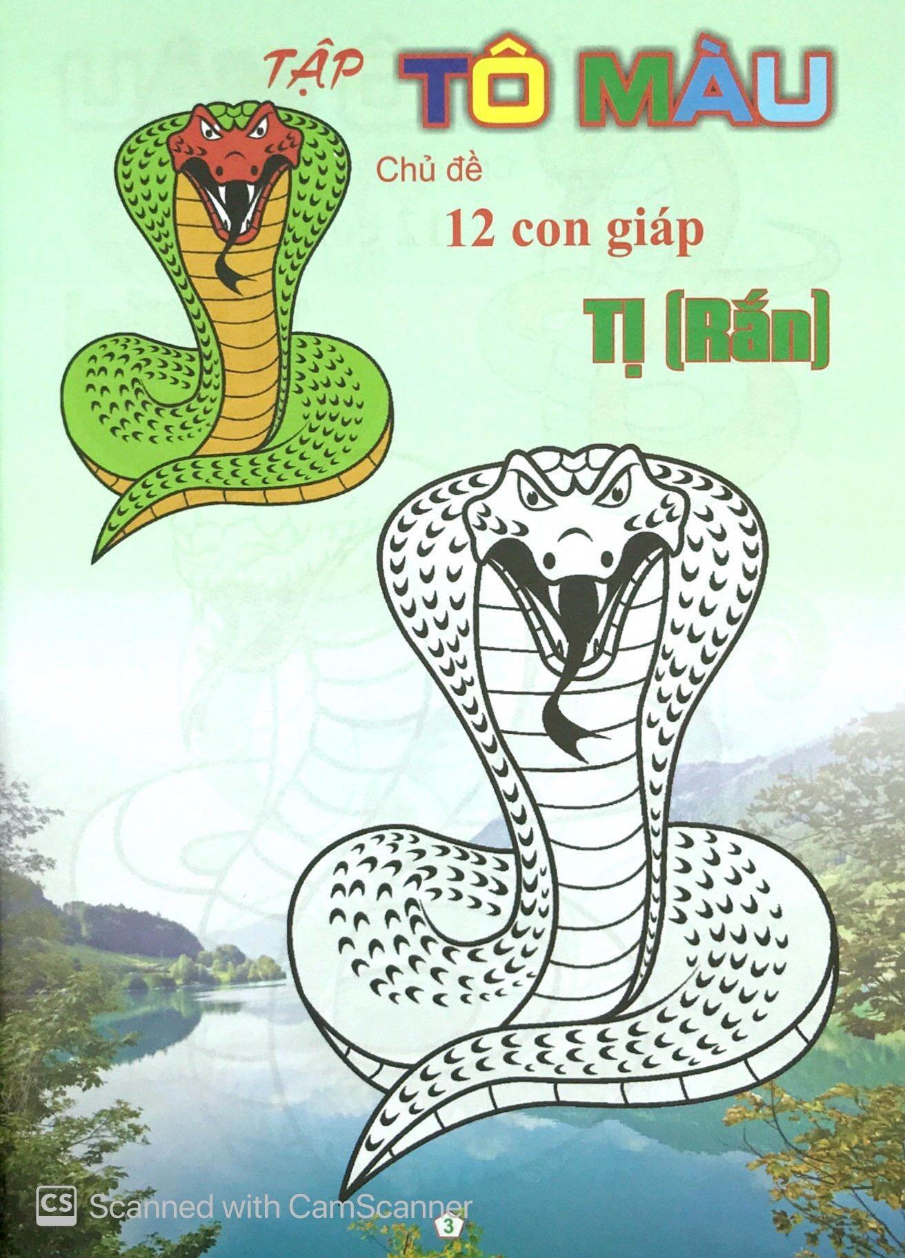Bộ Tập Tô Màu Chủ Đề 12 Con Giáp: Tị - Dần - Thân - Ngọ (Bộ 4 Cuốn)