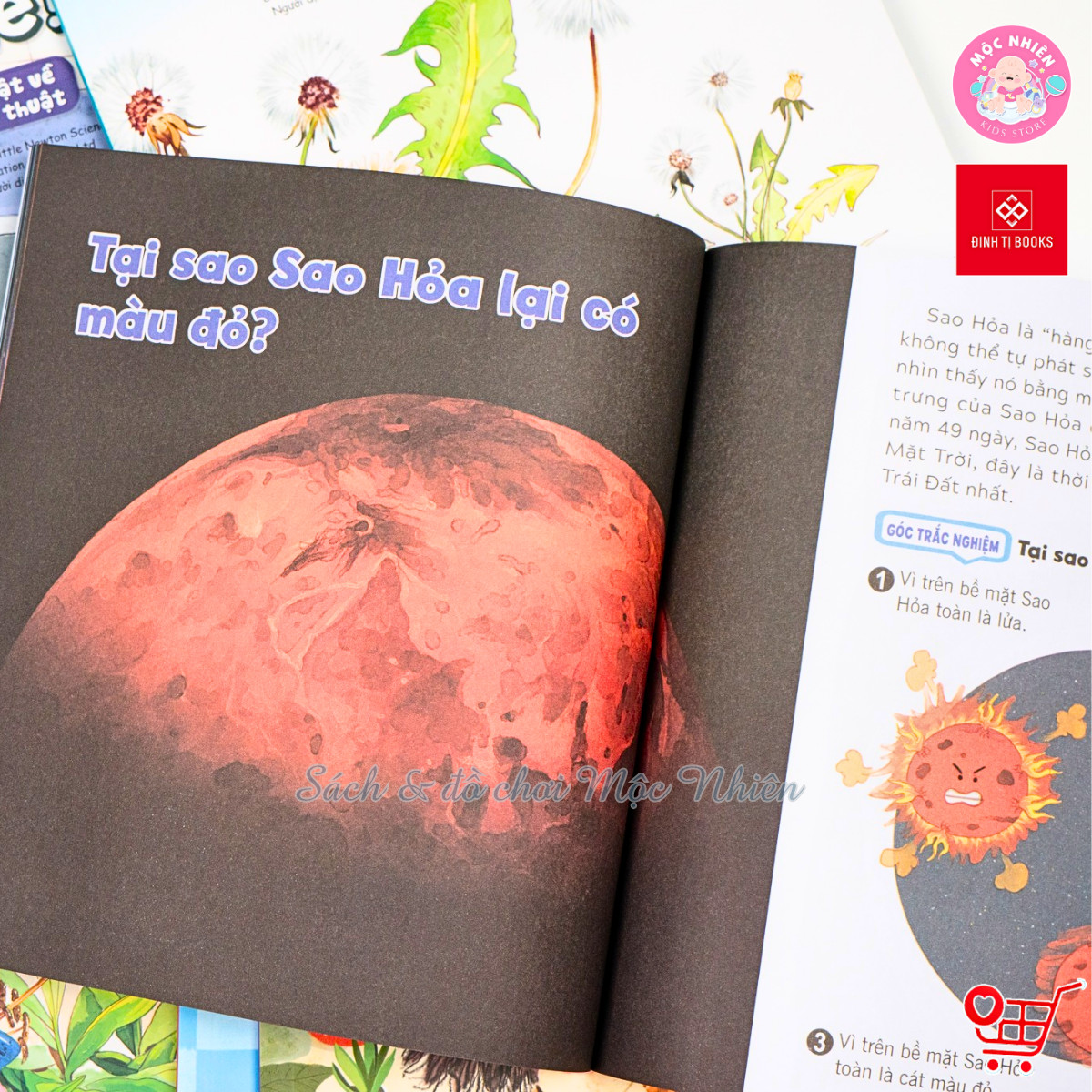 Sách - Wow, thì ra là thế! Dành cho bé từ 6-12 tuổi - Đinh Tị Books