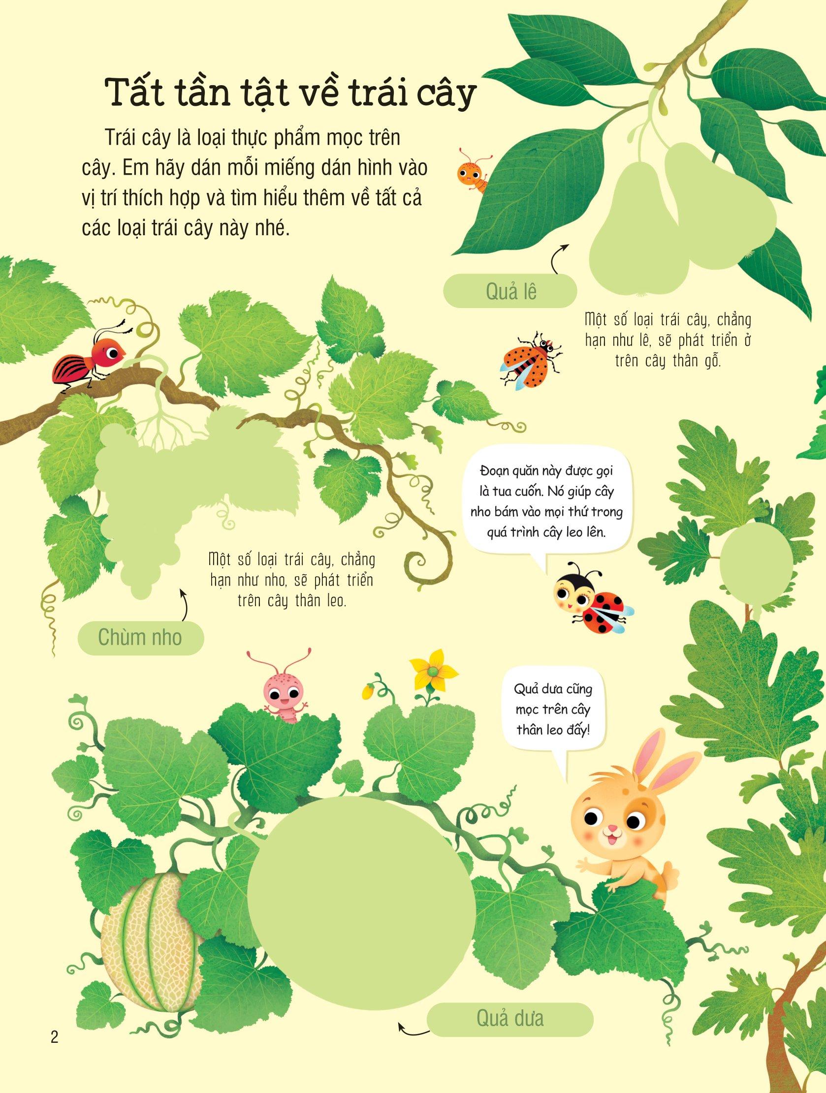 First Sticker Book - Sách Dán Hình Đầu Đời Cho Bé - Trái Cây Và Rau Củ