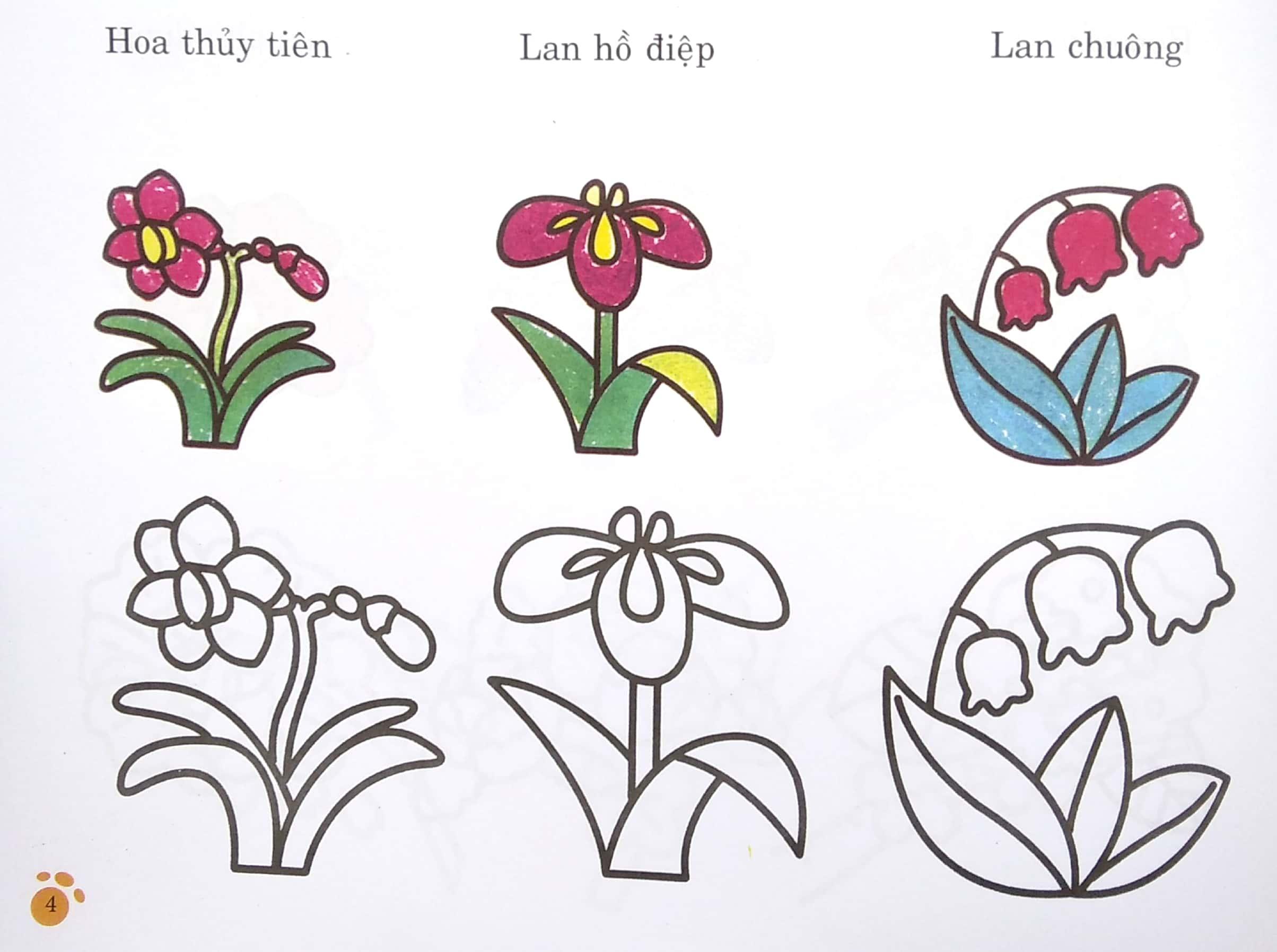 Bàn Tay Nhỏ Vẽ Tranh - Thực Vật Phong Phú