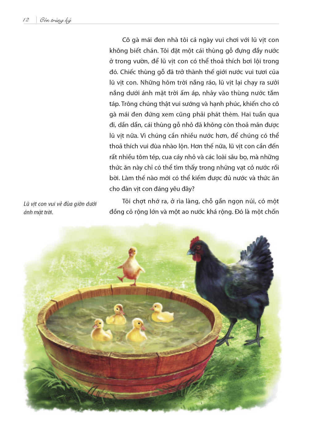 Côn Trùng Ký (Tái Bản)
