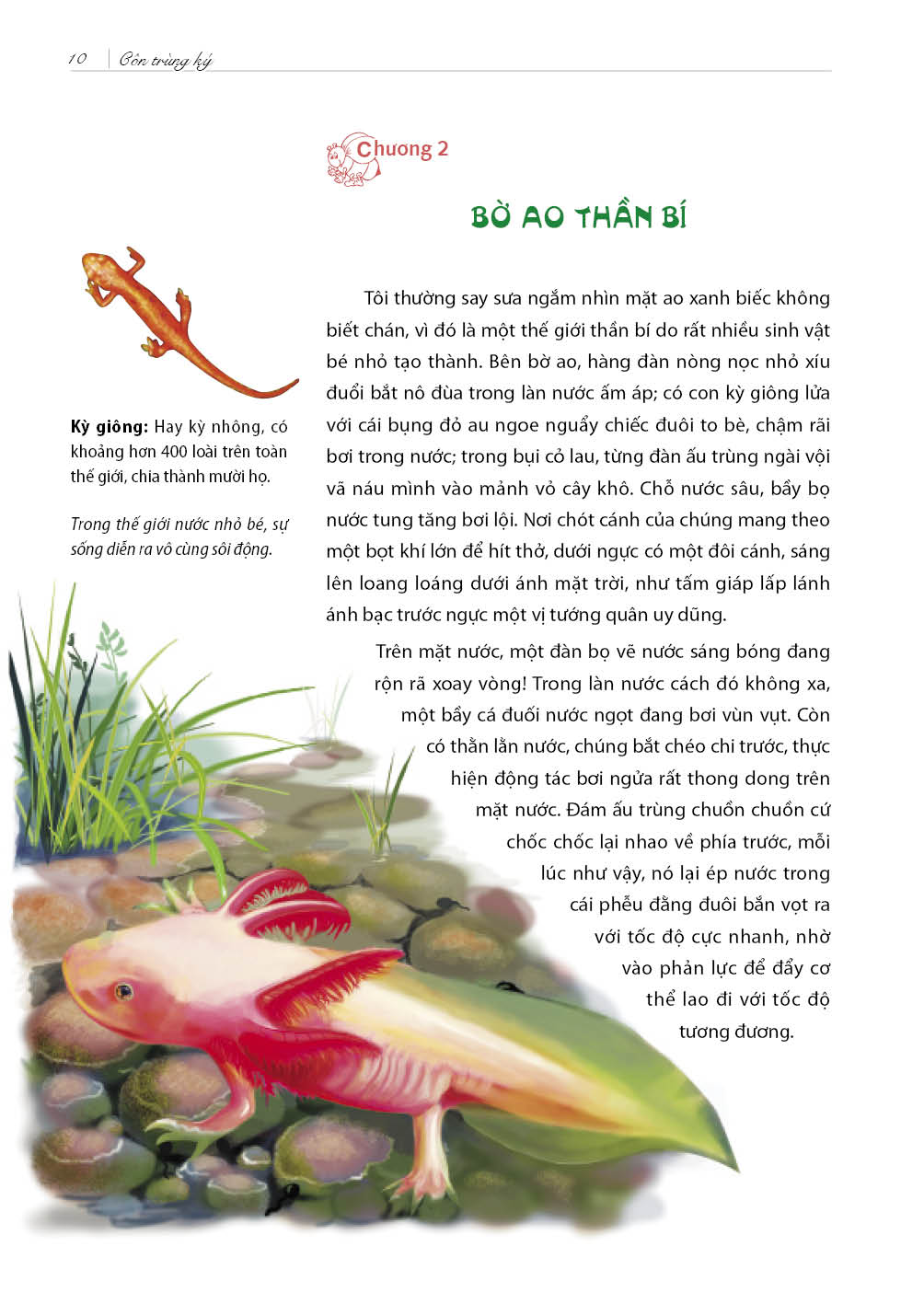 Côn Trùng Ký (Tái Bản)
