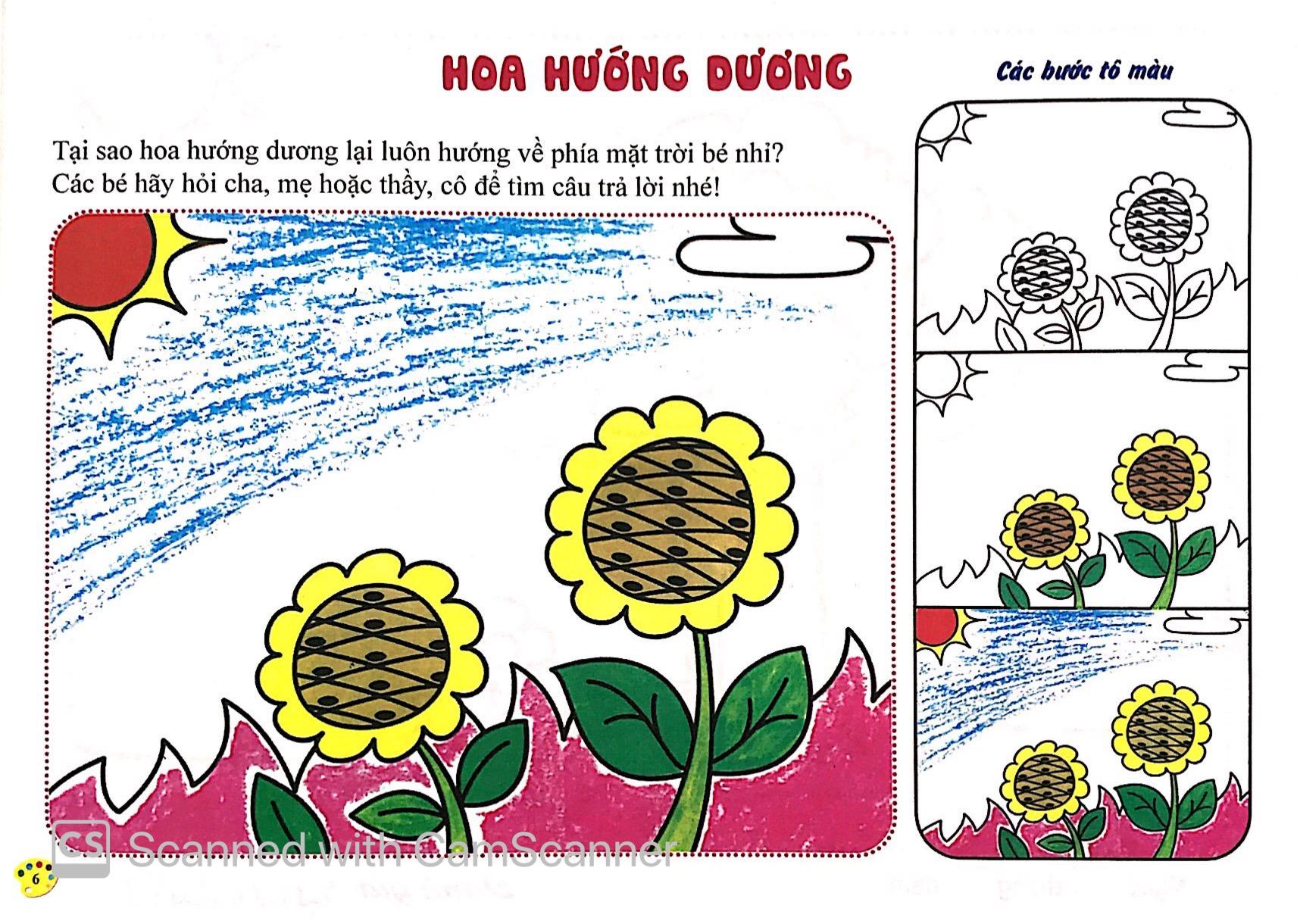 Thực Vật - Tô Màu