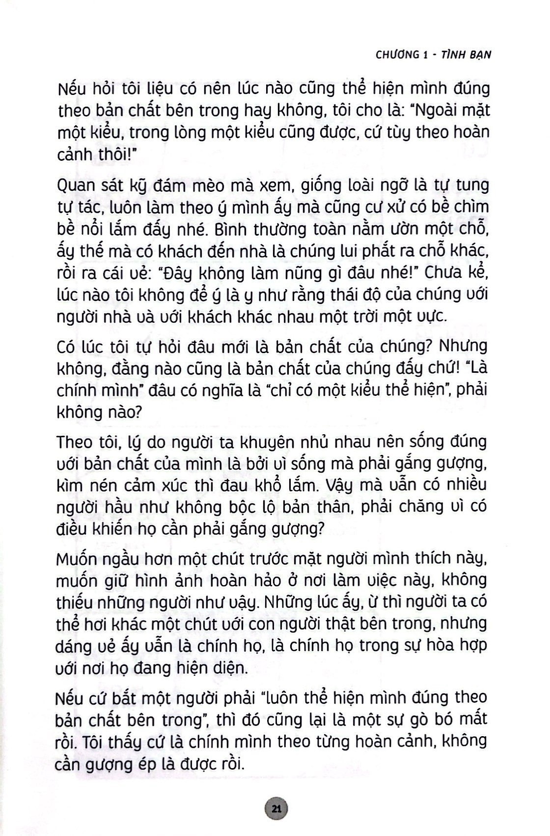 Những bài học cuộc sống từ đám mèo nhà tôi