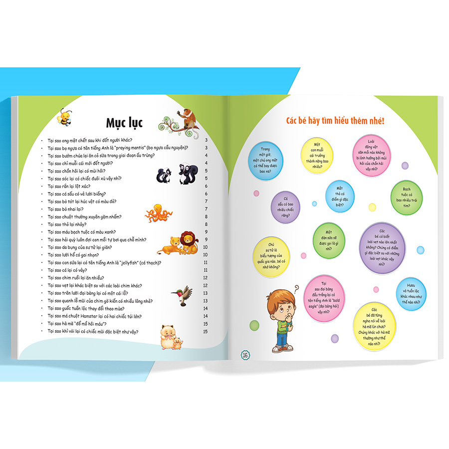 Combo What Why When How? 10 Vạn Câu Hỏi Cho Siêu Nhí
