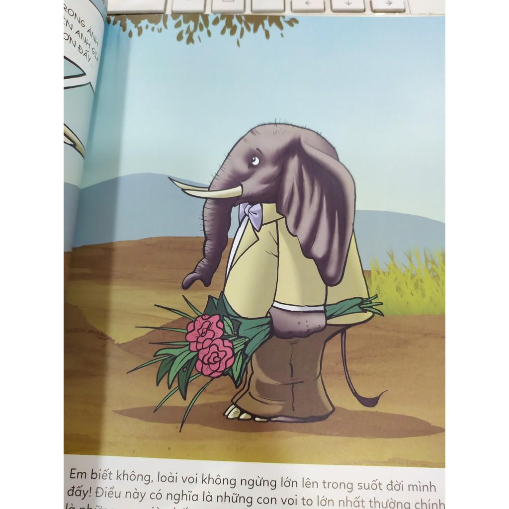 Ô Kìa! Em Có Biết : Voi