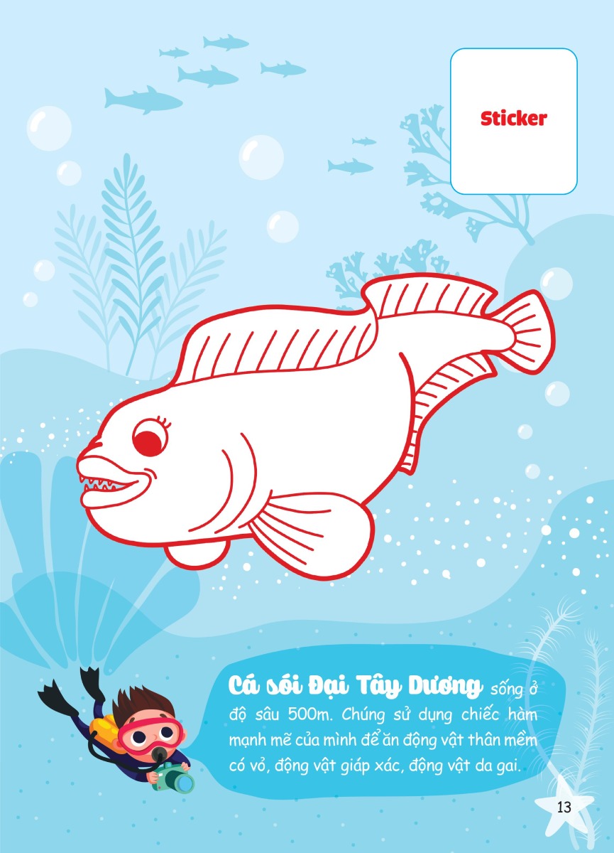 Con Tô Màu - Thám Hiểm Đáy Biển Sâu (MEGA)