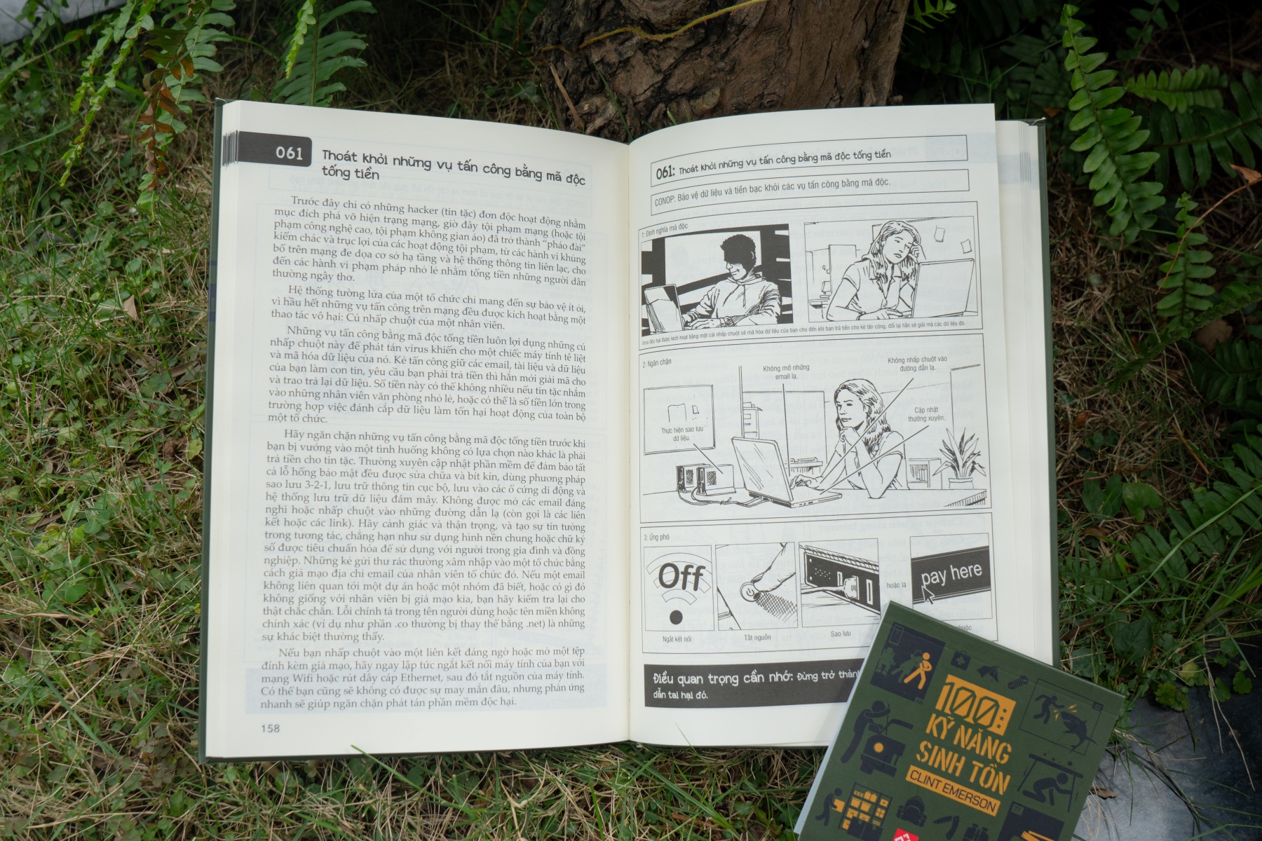 Sách Bách Khoa Tri Thức – 100 Kỹ Năng Sinh Tồn – Đinh Tị Books