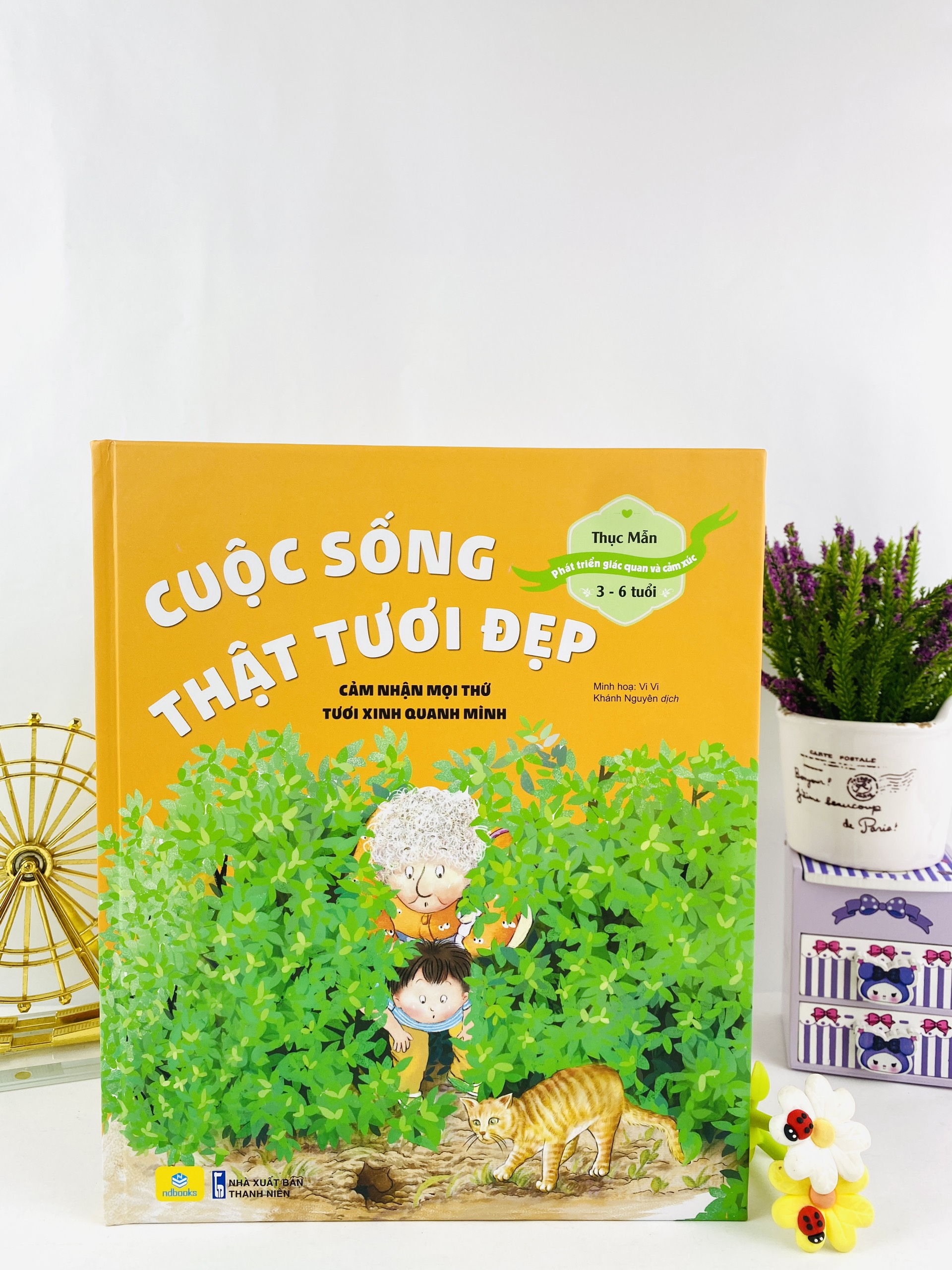 Sách - Phát Triển Giác Quan Và Cảm Xúc 3 - 6 Tuổi - ndbooks
