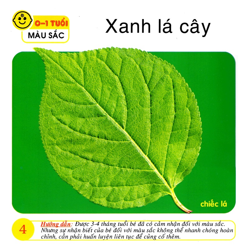 Bách Khoa Toàn Thư Cho Bé 0 - 1 Tuổi (Bộ 8 Cuốn) - TV
