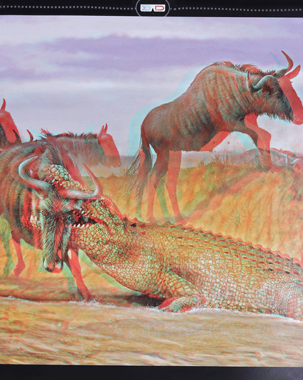 Di Chuyển Và Di Cư