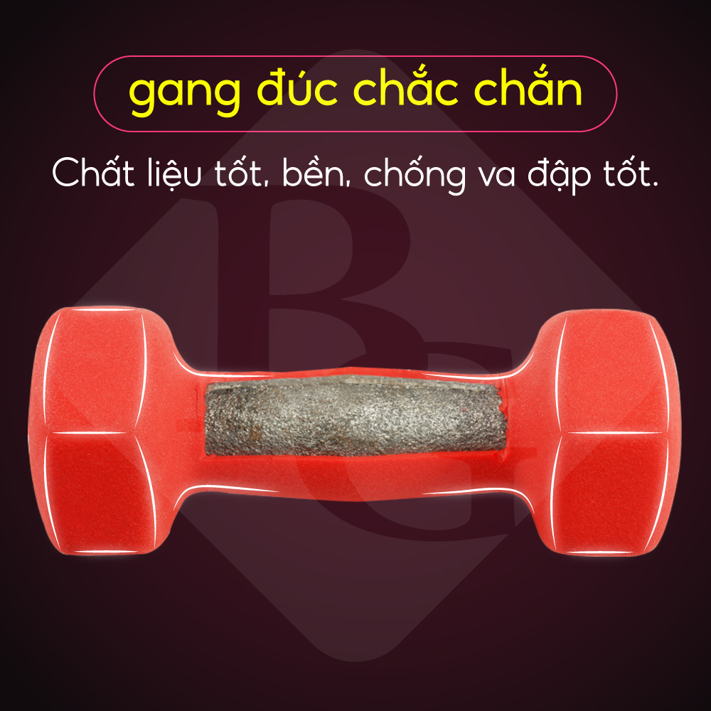 Bộ 2 tạ tay lõi sắt Q304 bọc cao su, tạ tập tay cao su 1kg 2kg 3kg 4kg 5kg BG (hàng nhập khẩu)