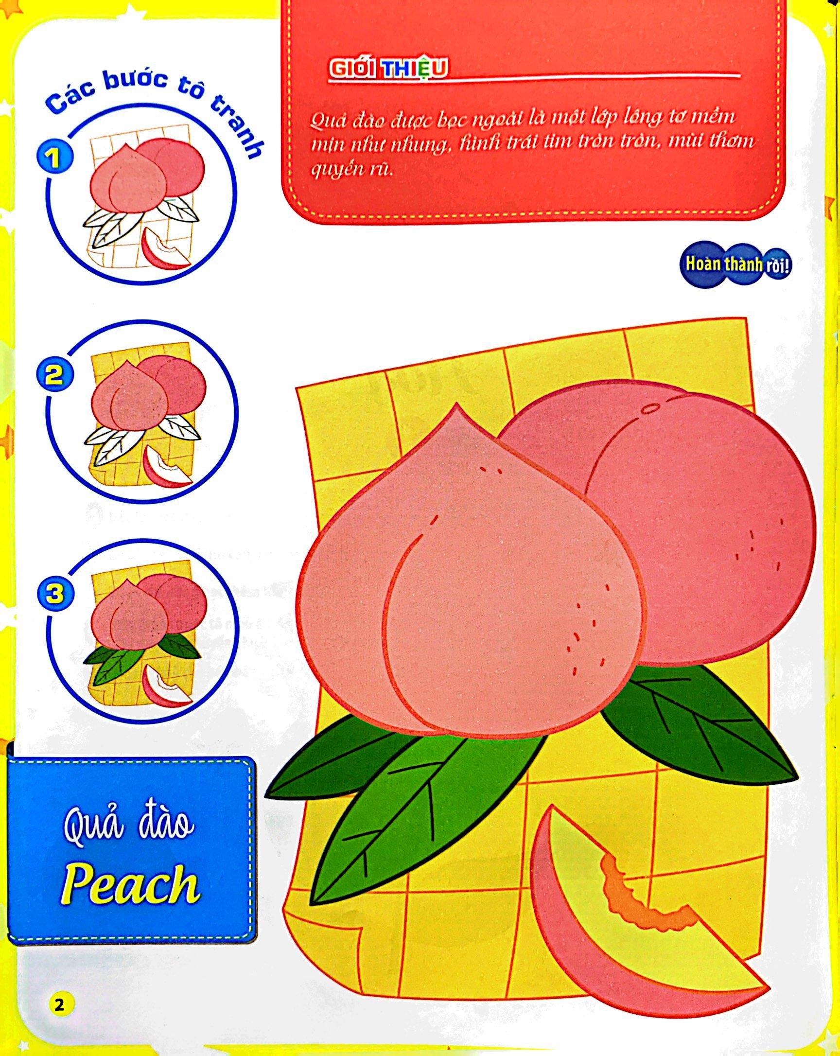 Tô Màu Theo Từng Bước - Trái Cây, Rau Củ, Hoa 1
