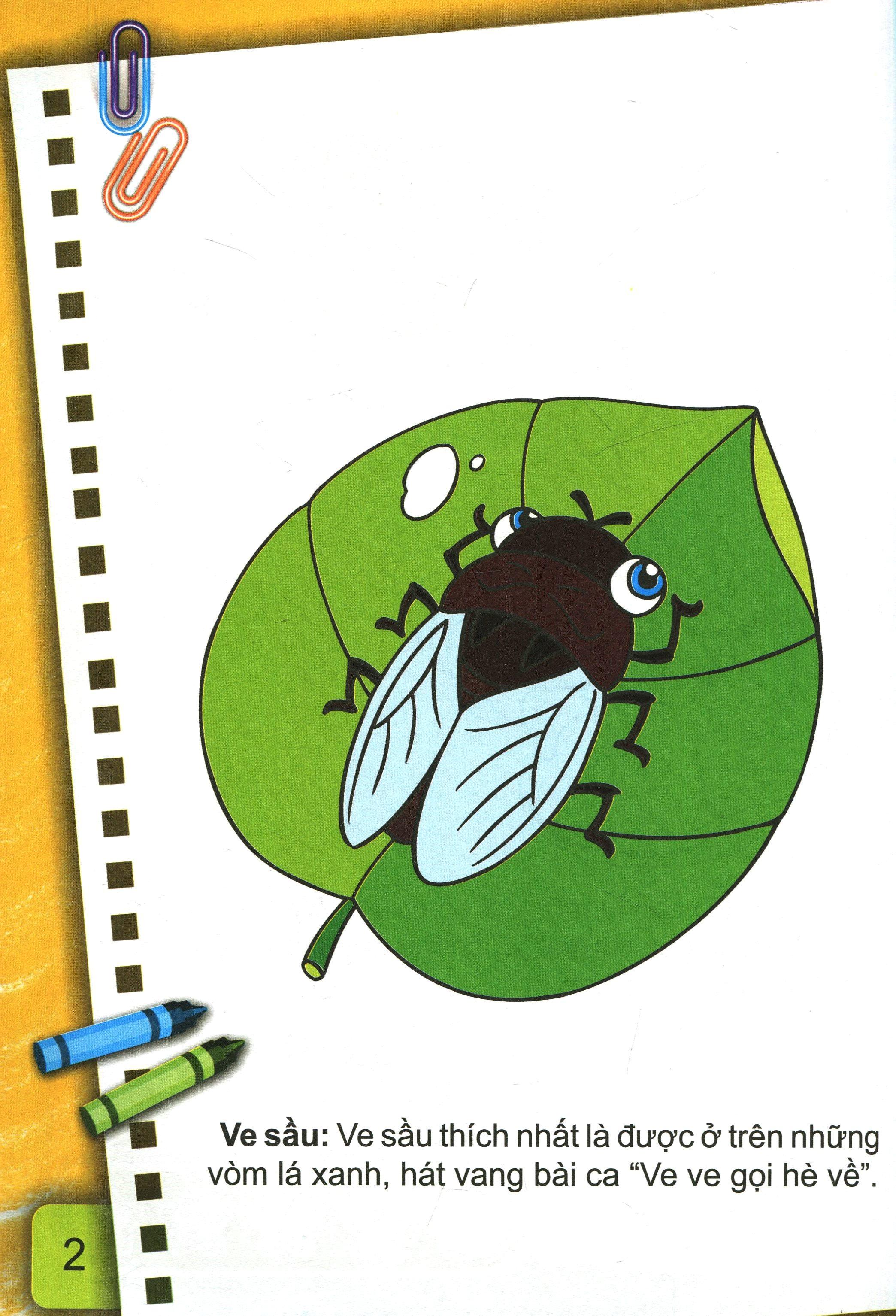 Bé Tô Màu (2-6+) - Những Con Côn Trùng Bé Nhỏ - Tập 2