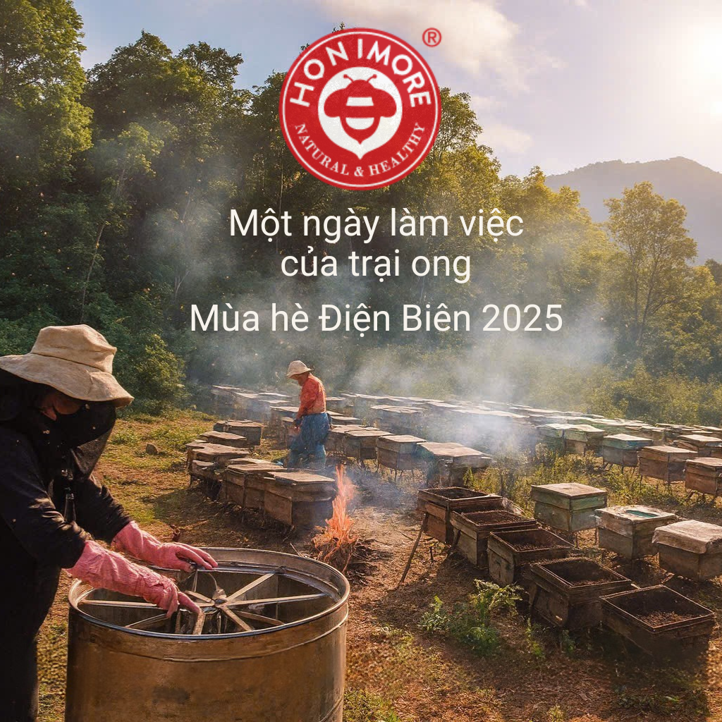 Mật ong rừng Hoa Miền Núi dạng tuýp tiện dụng 130g - 100% mật ong chín Honimore
