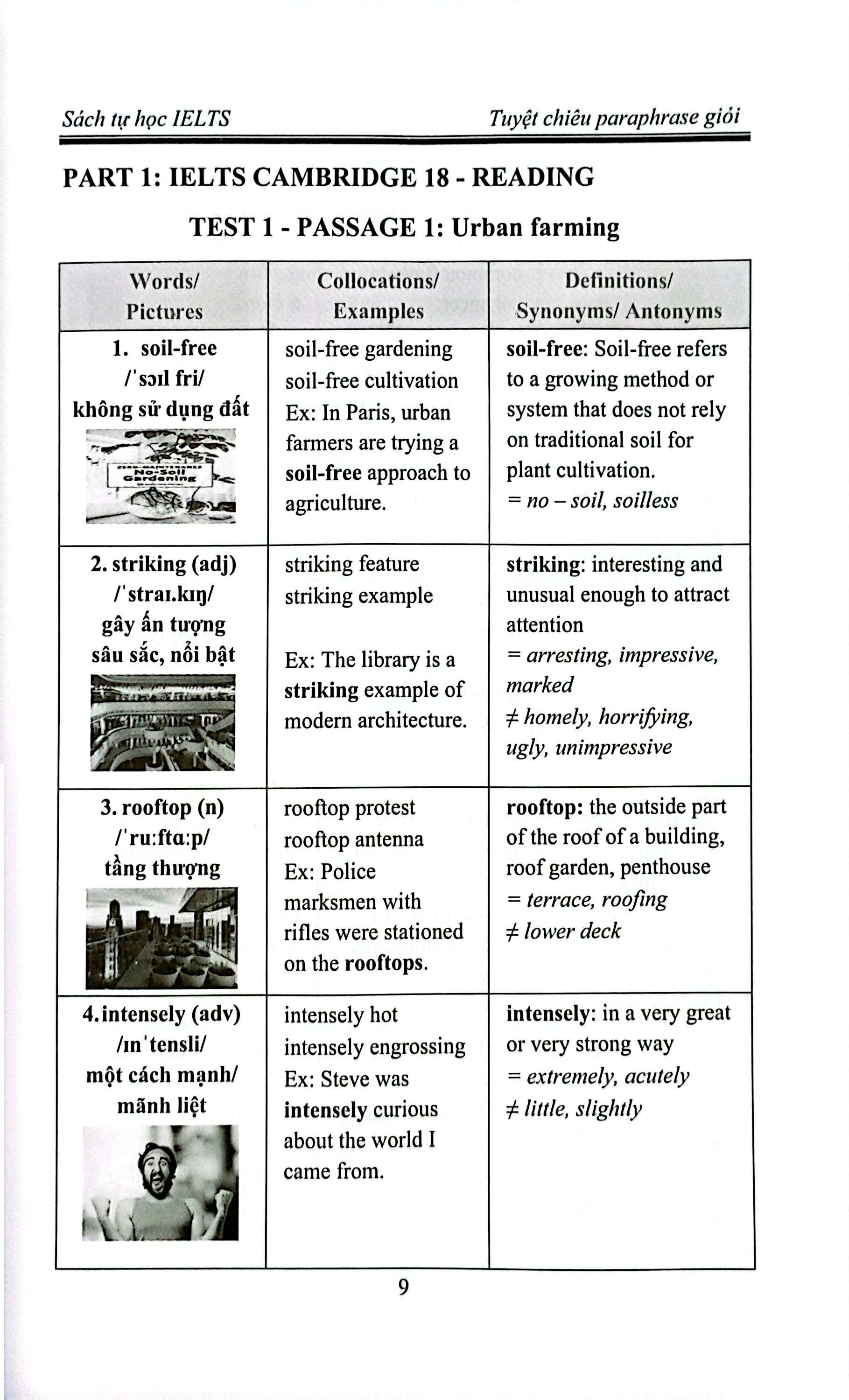 Tuyệt Chiêu Tăng Điểm Ielts Reading - Kho Từ Vựng Paraphrase Giỏi