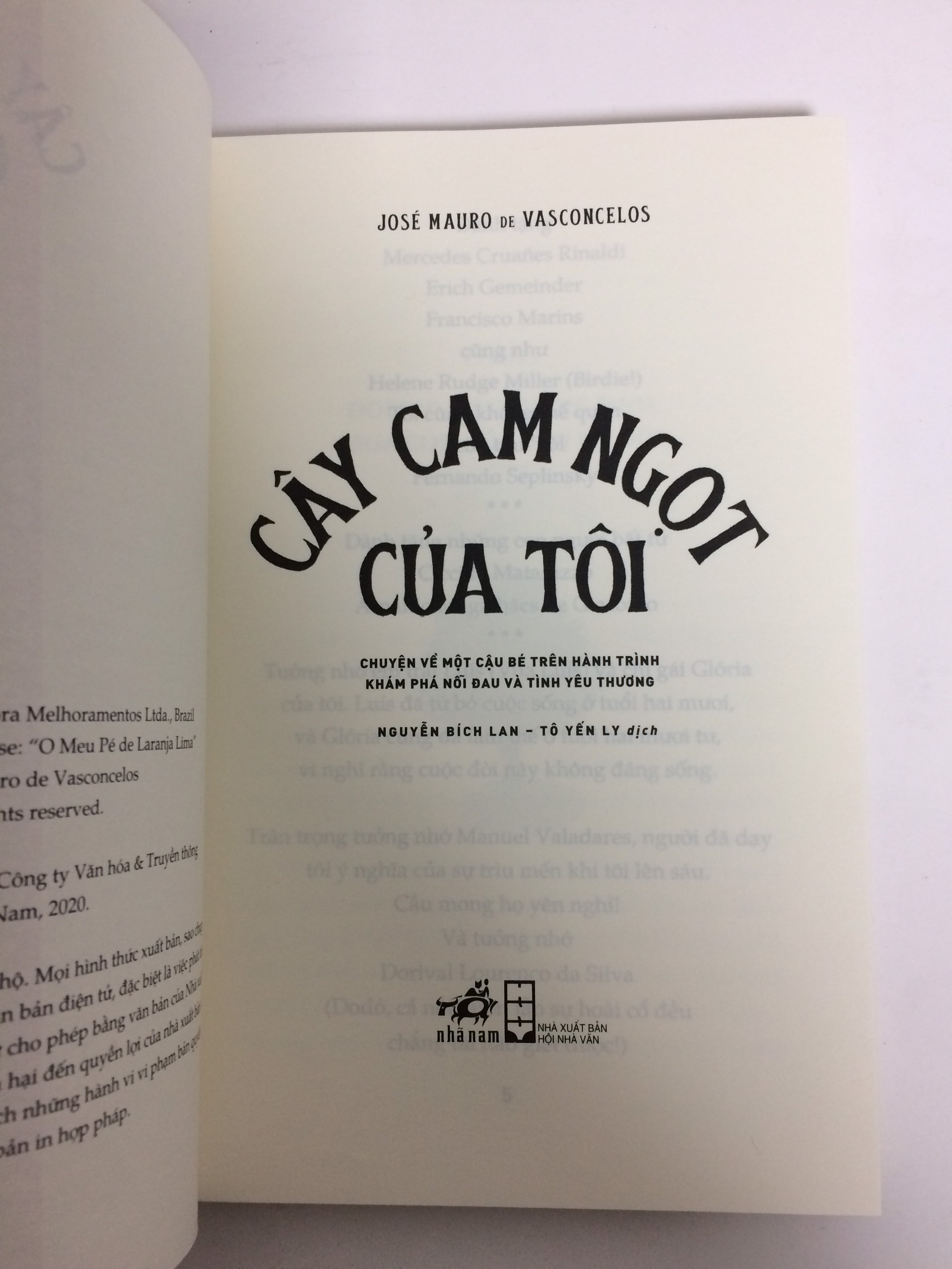 CÂY CAM NGỌT CỦA TÔI