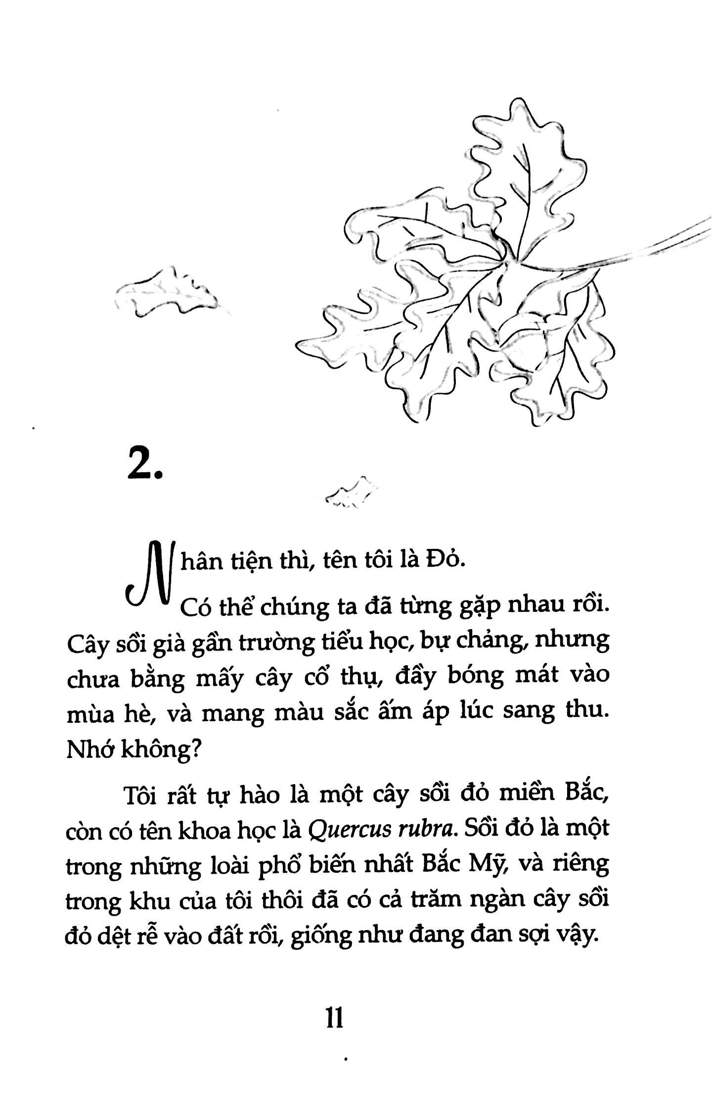 Nguyện Ước Tháng Năm
